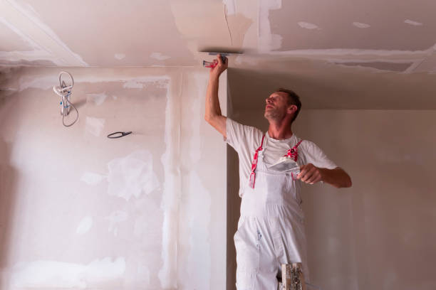 Best Residential Painting Experts  in Russellville, AL